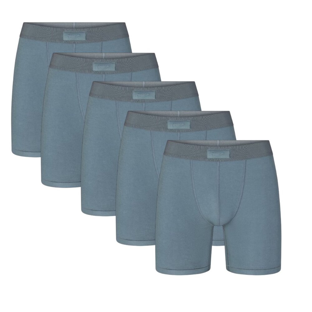 SKIMS Men's 5" Inch Cotton 2XL Boxer Brief 5 Packs in Kyanite NEW